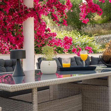 Cecilia Exclusive Villa Corfu Doukádes エクステリア 写真